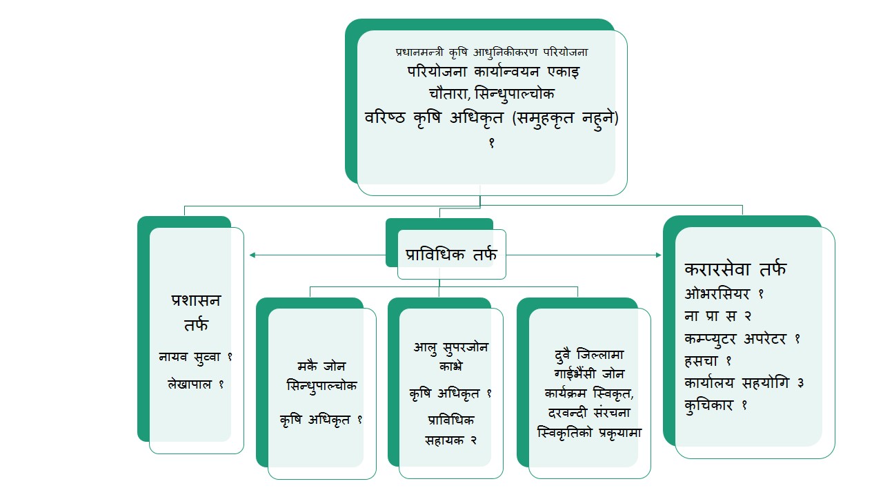 संगठनात्मक ढाचा